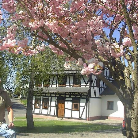 Ferienhaus Schmitt Beltheim Zewnętrze zdjęcie