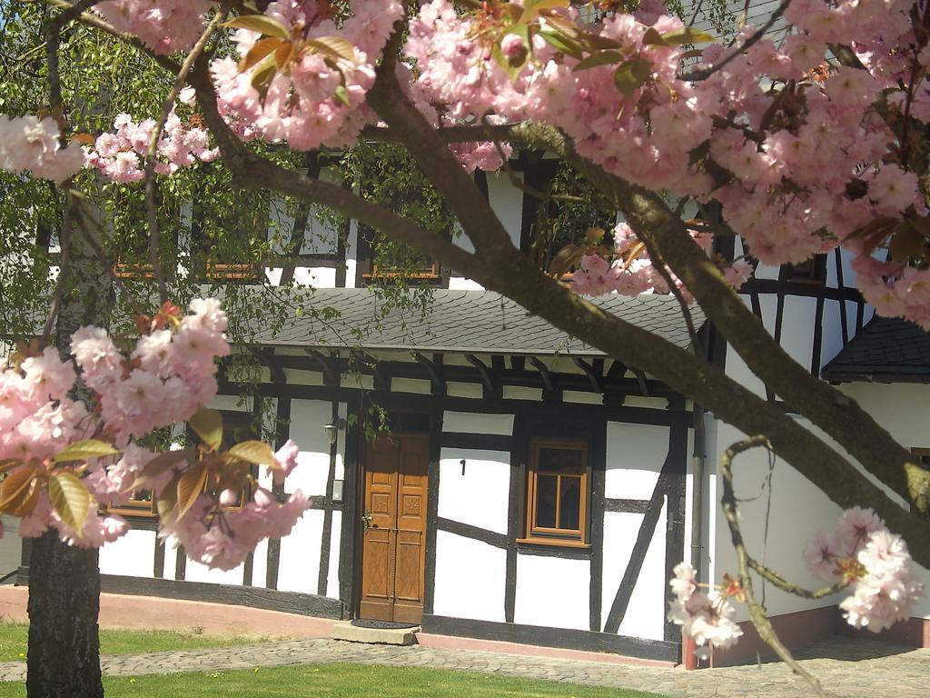 Ferienhaus Schmitt Beltheim Zewnętrze zdjęcie